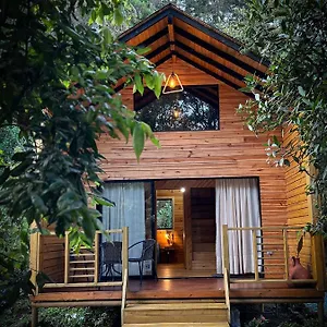 vital_ecohotel.colombiamedellinhotels.com/